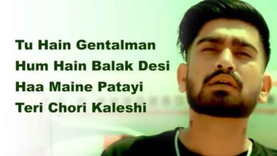 Tu hai gentleman Hum hai balak desi Lyrics